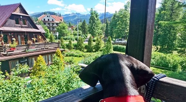 Apartament Ogrodowy z balkonem z widokiem na Tatry