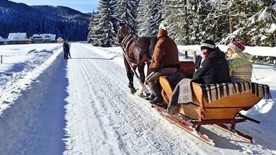 sleigh ride in Chocholowska Valley